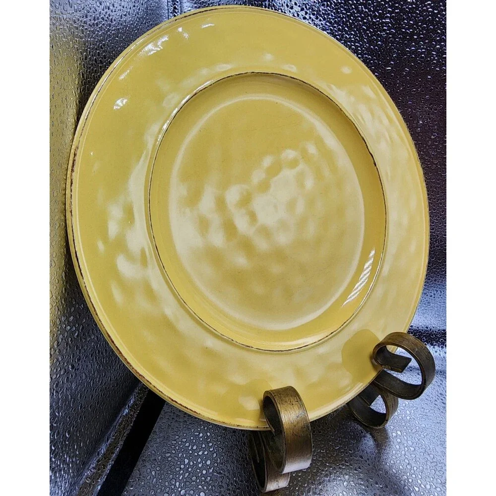 Pier 1 Martillo Mango Stoneware Dinner Plates (Set Of 4) READ!!!!!!!